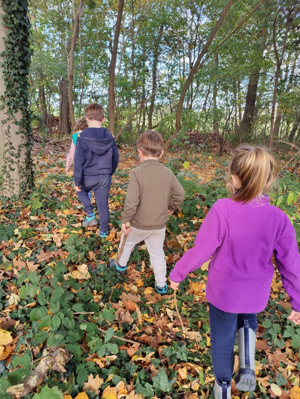 Wandelen en fietsen in de omgeving van Lianko