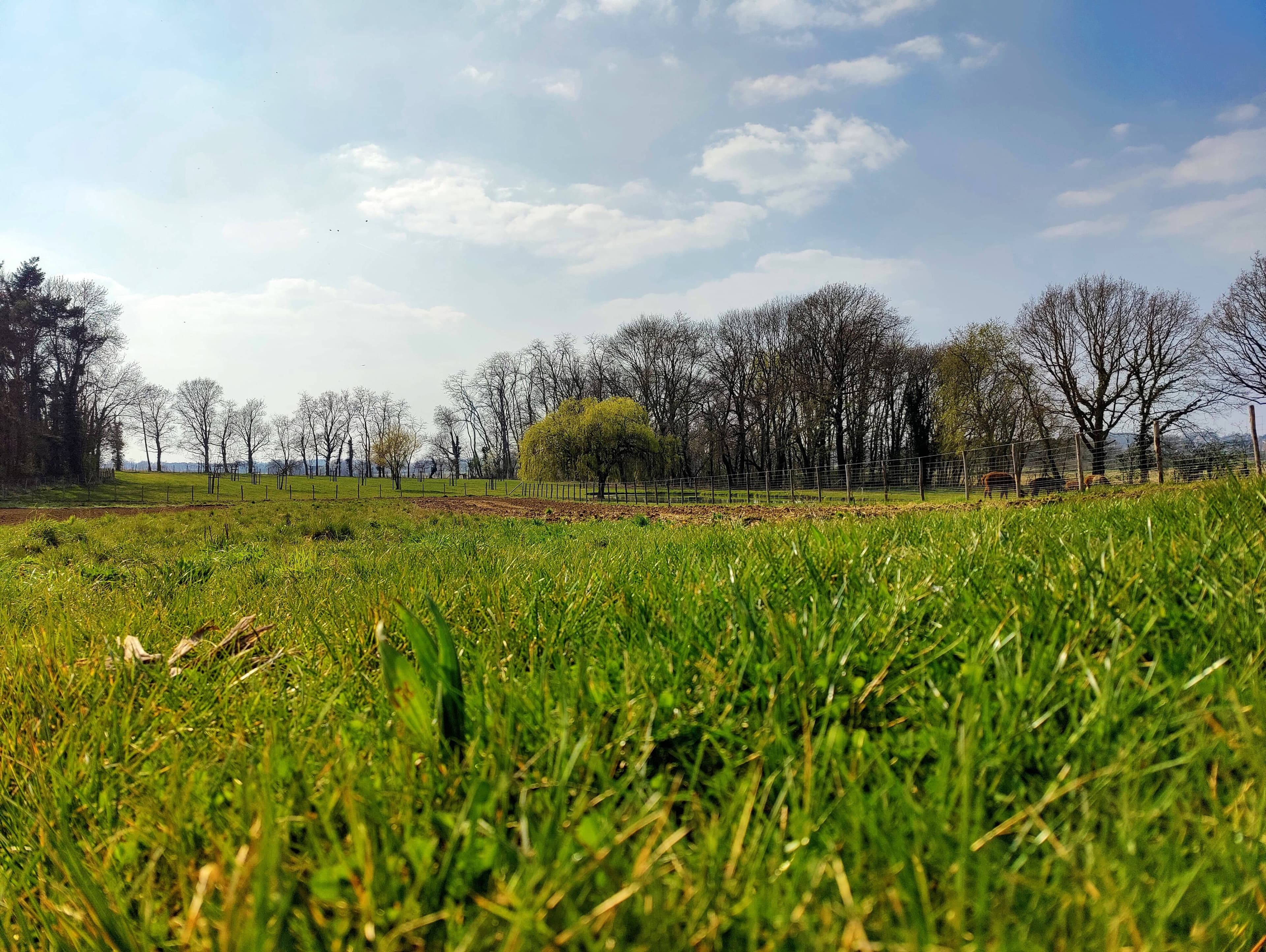 Weilanden en natuur rond de boerderij in het Prinsenbos, Bekkevoort
