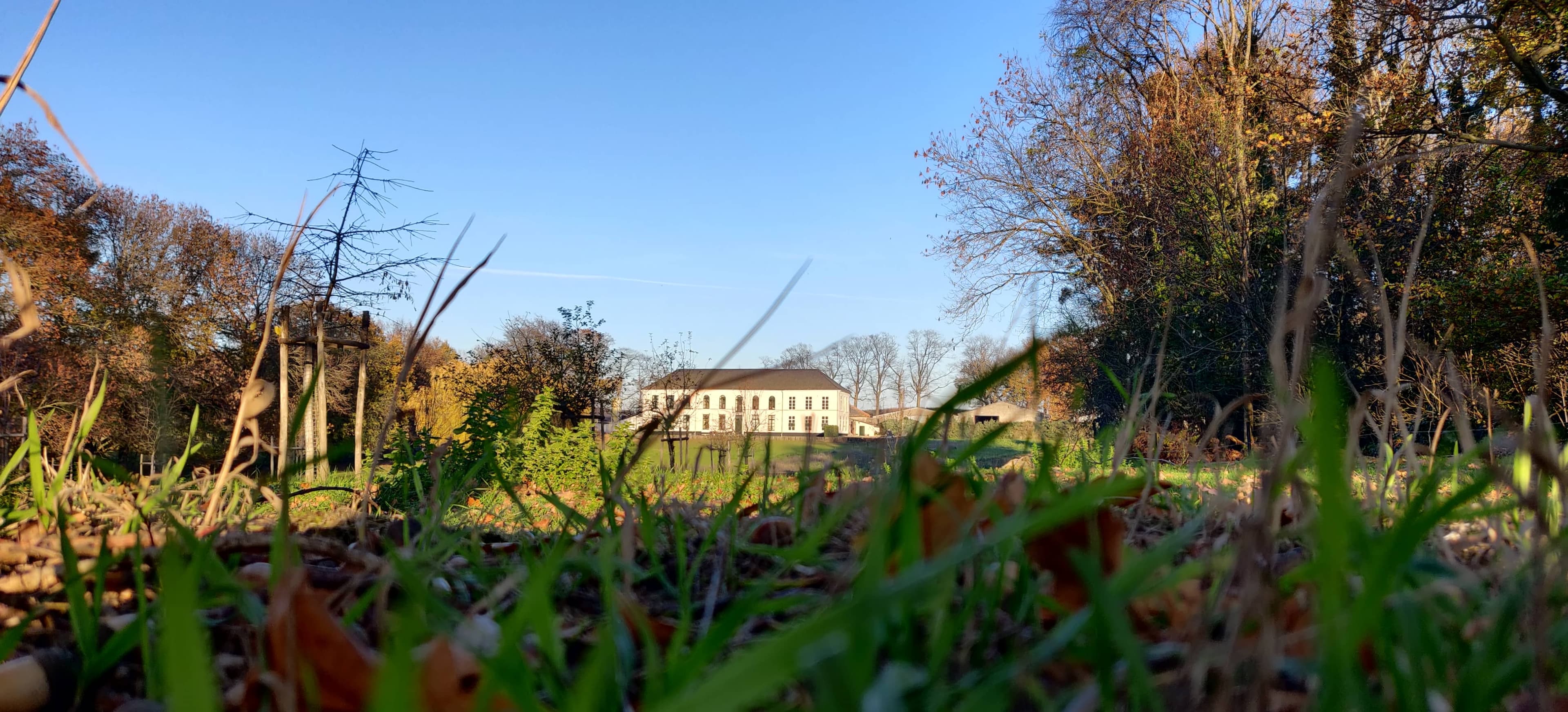 Sfeerbeeld van een vakantieverblijf op het domein van Lianko